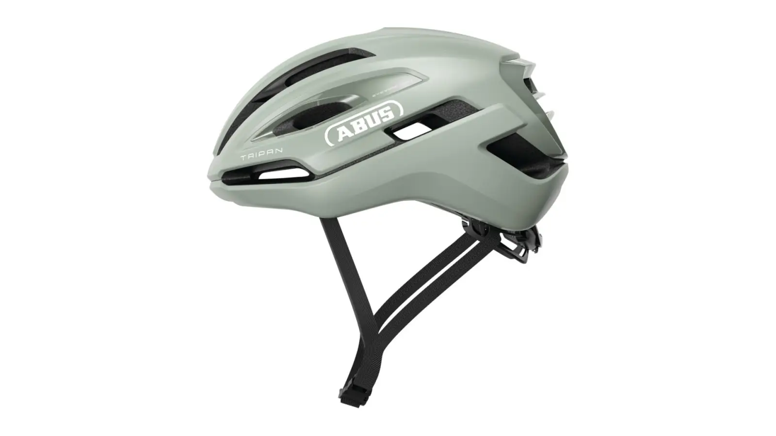 Abus Taipan frosted green