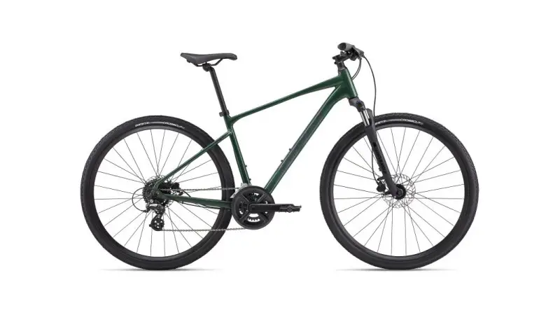 Giant Roam Disc 3