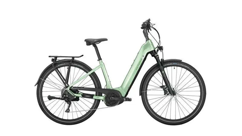 Victoria eManufaktur 12.8 Vert menthe