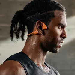 Earphones