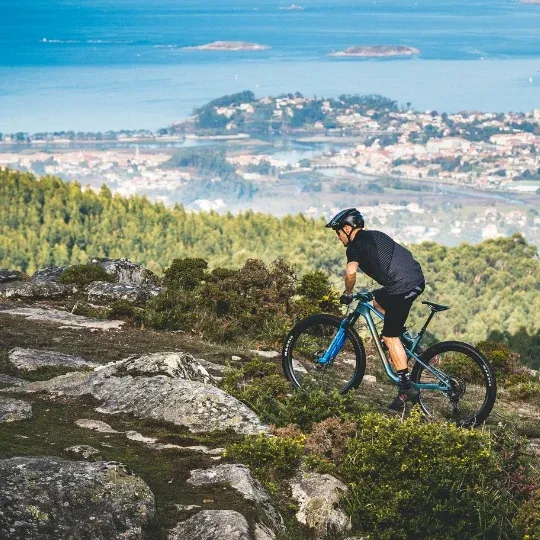 VTT