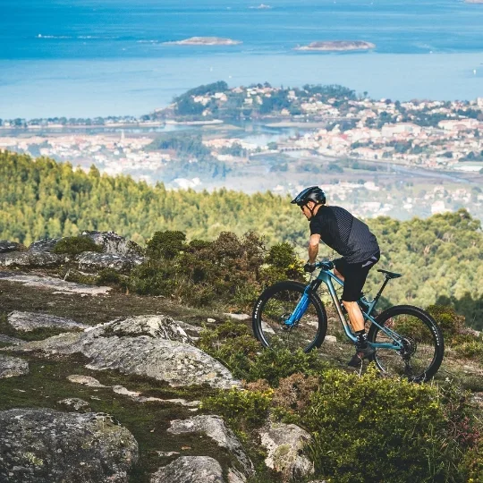 VTT