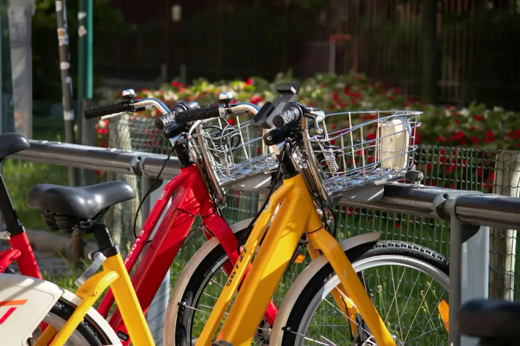 KAMEO Bikes renting