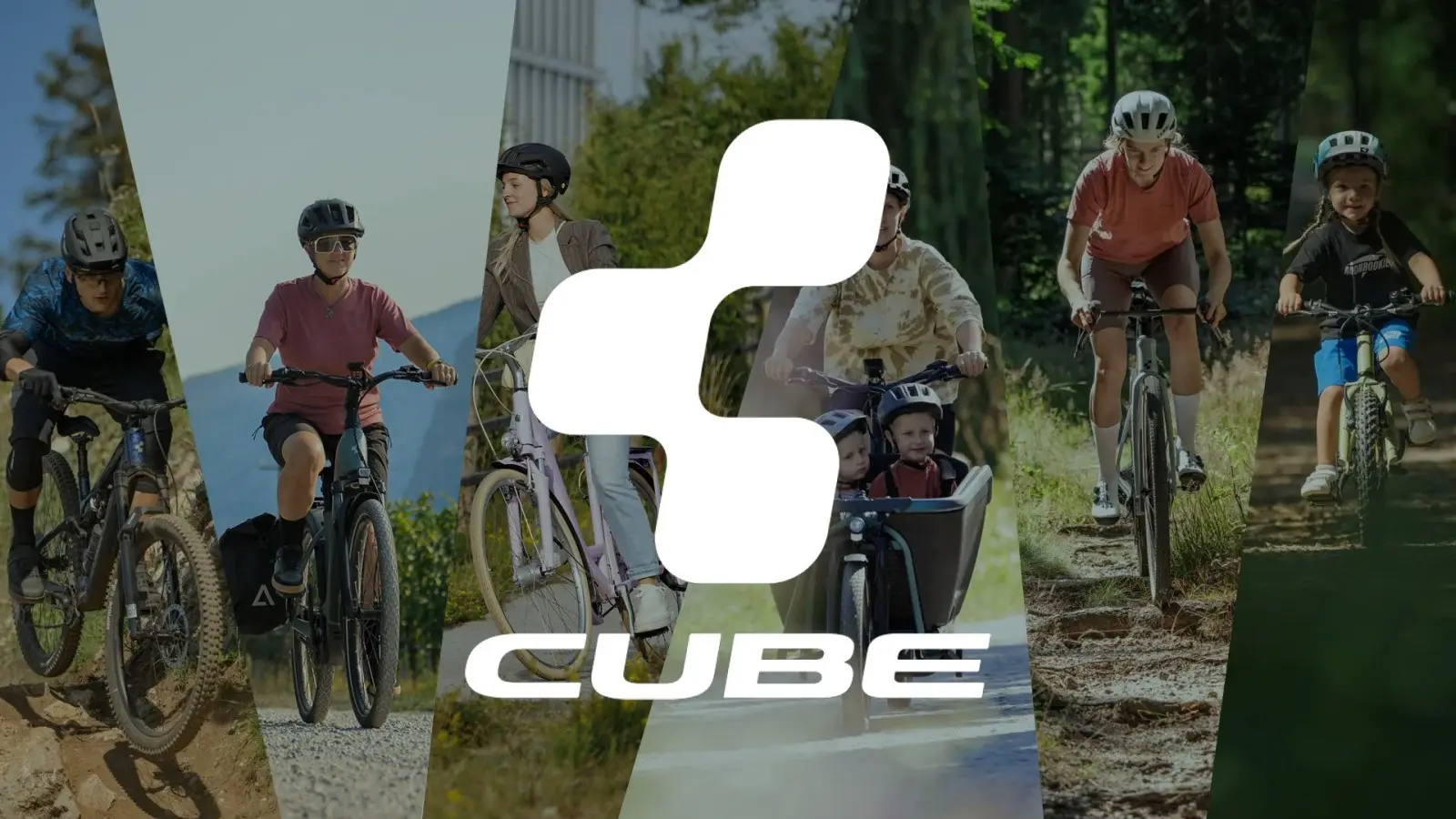 Les grandes familles Cube : quel modèle pour quel usage ?