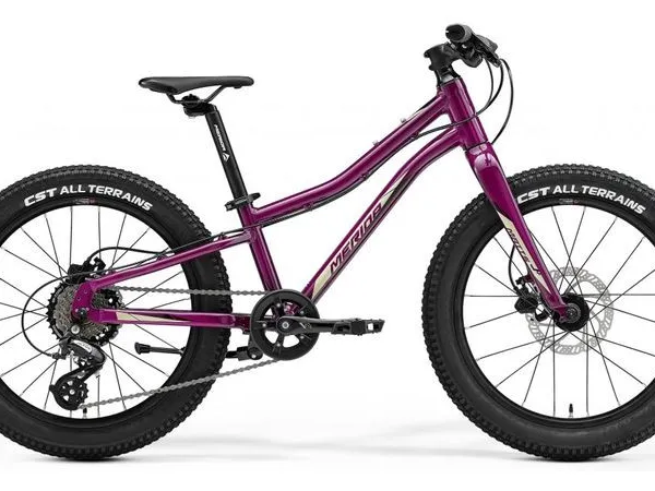 Merida MATTS J.20+