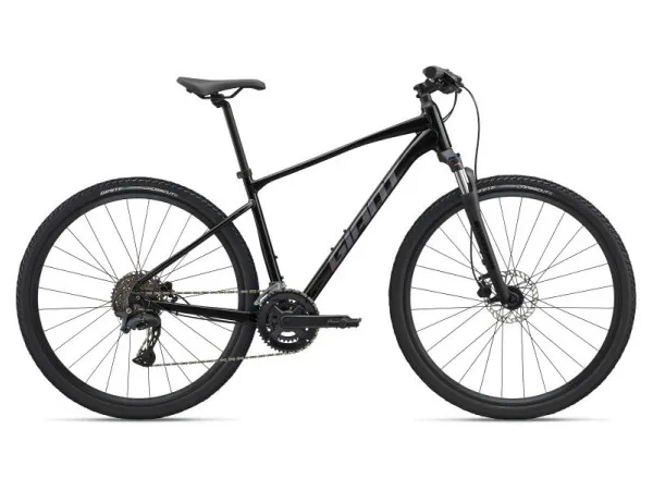 Giant Roam 2