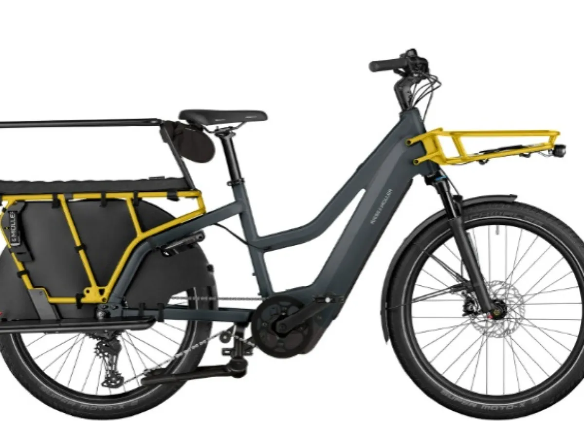 Riese and Muller Multicharger3 Mixte FAMILY