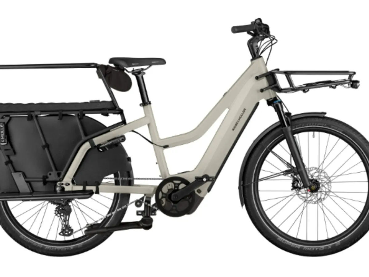 Riese and Muller Multicharger3 Mixte FAMILY