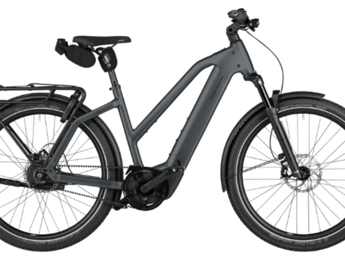 Riese and Muller Charger5 Mixte vario