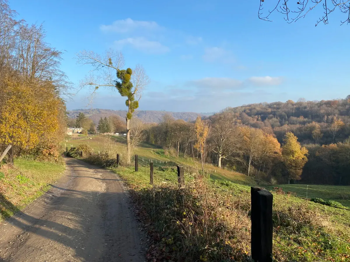 Chemin gravel dans la campagne autour de Liège