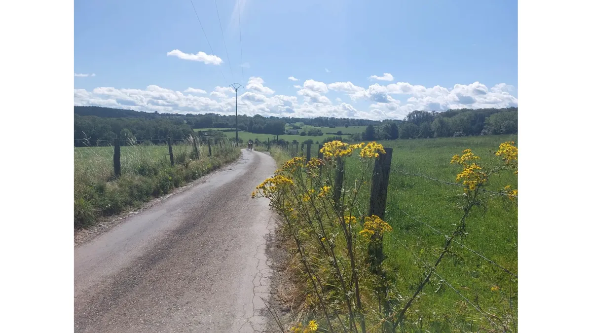 Route de campagne sèche autour de Liège
