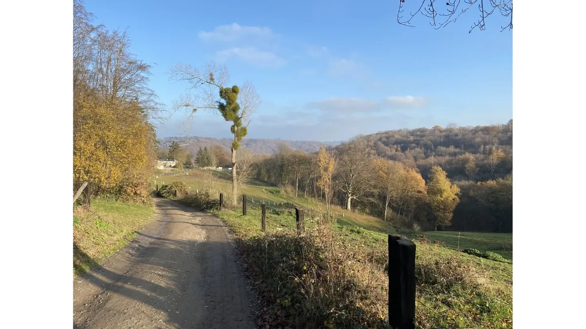 Sentier étroit en sous-bois, terrain où les sacoches souples prennent l'avantage