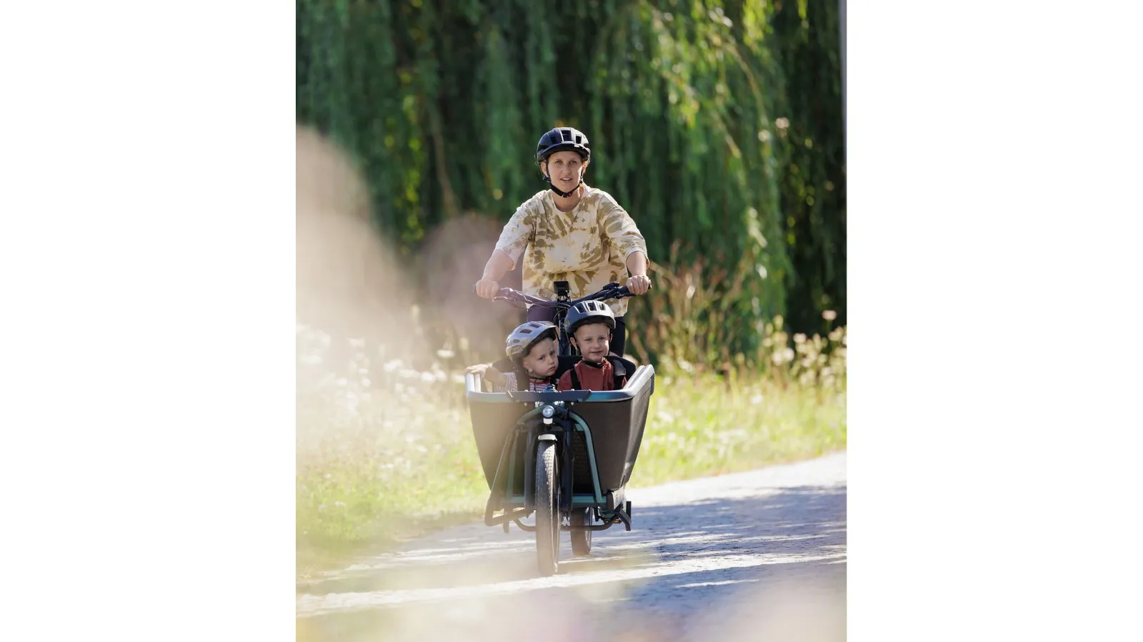 Cube Cargo Hybrid Comfort Pro 800