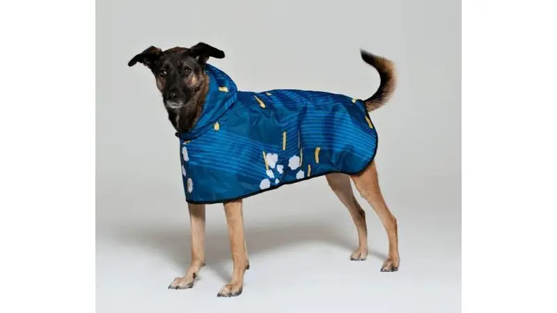 RAINKISS Japanese Blossom - Dog Poncho