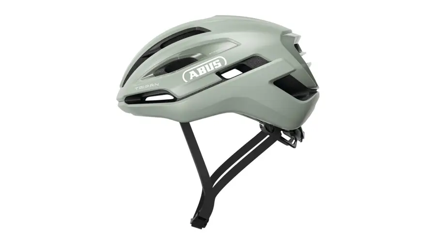 Abus Taipan frosted green