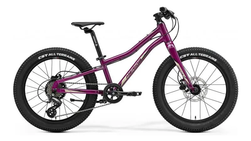 Merida MATTS J.20+