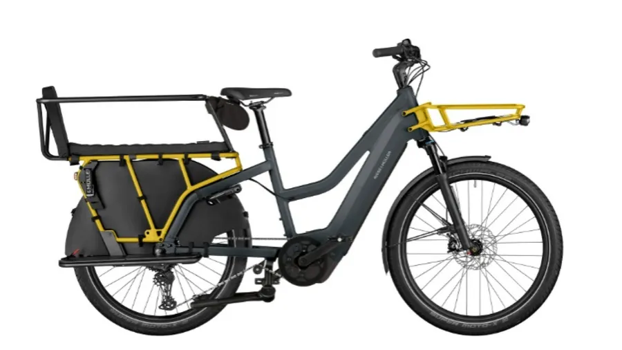 Riese and Muller Multicharger3 Mixte FAMILY