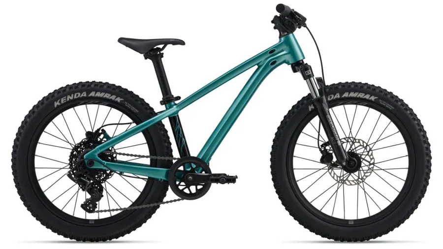 Giant STP 20 FS